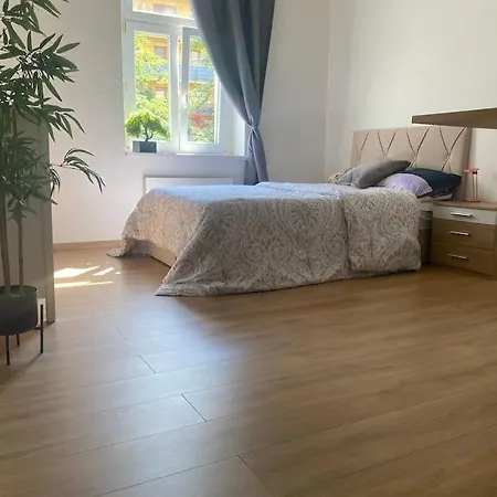 Cozy Apt Near Castle * براغ